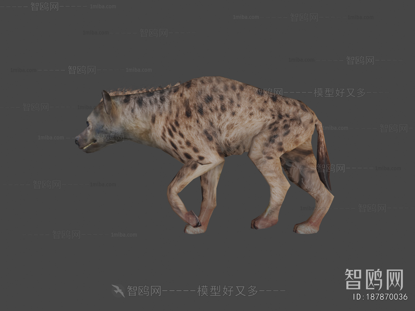 Modern Animal