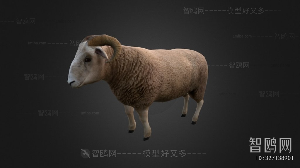 Modern Animal