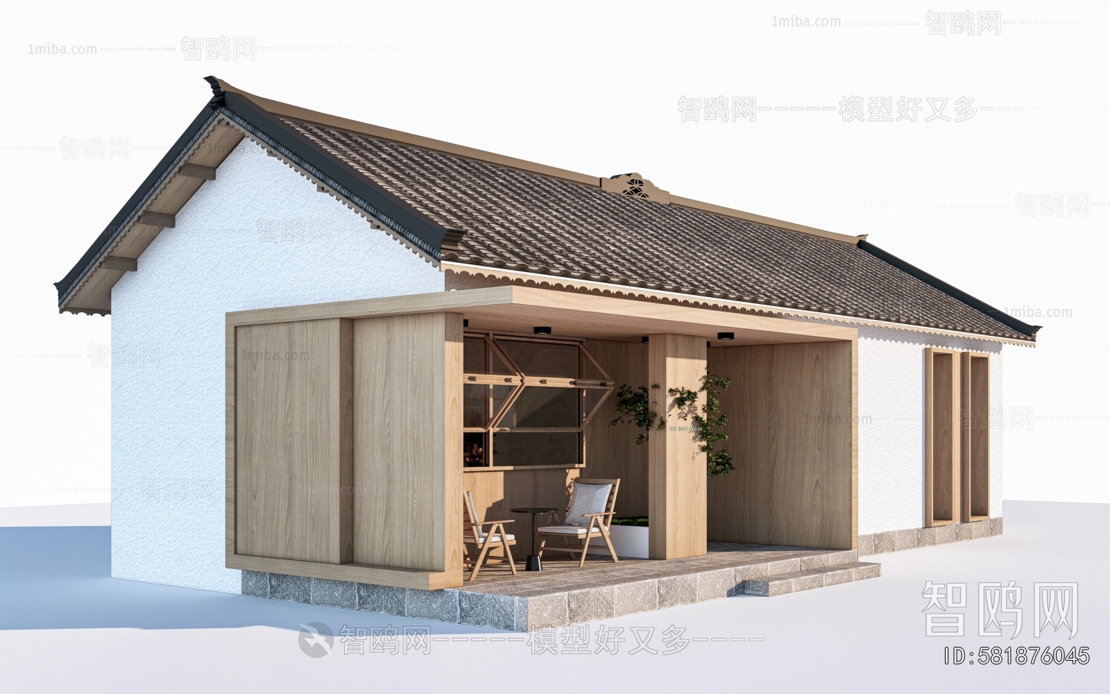 Modern Villa Appearance