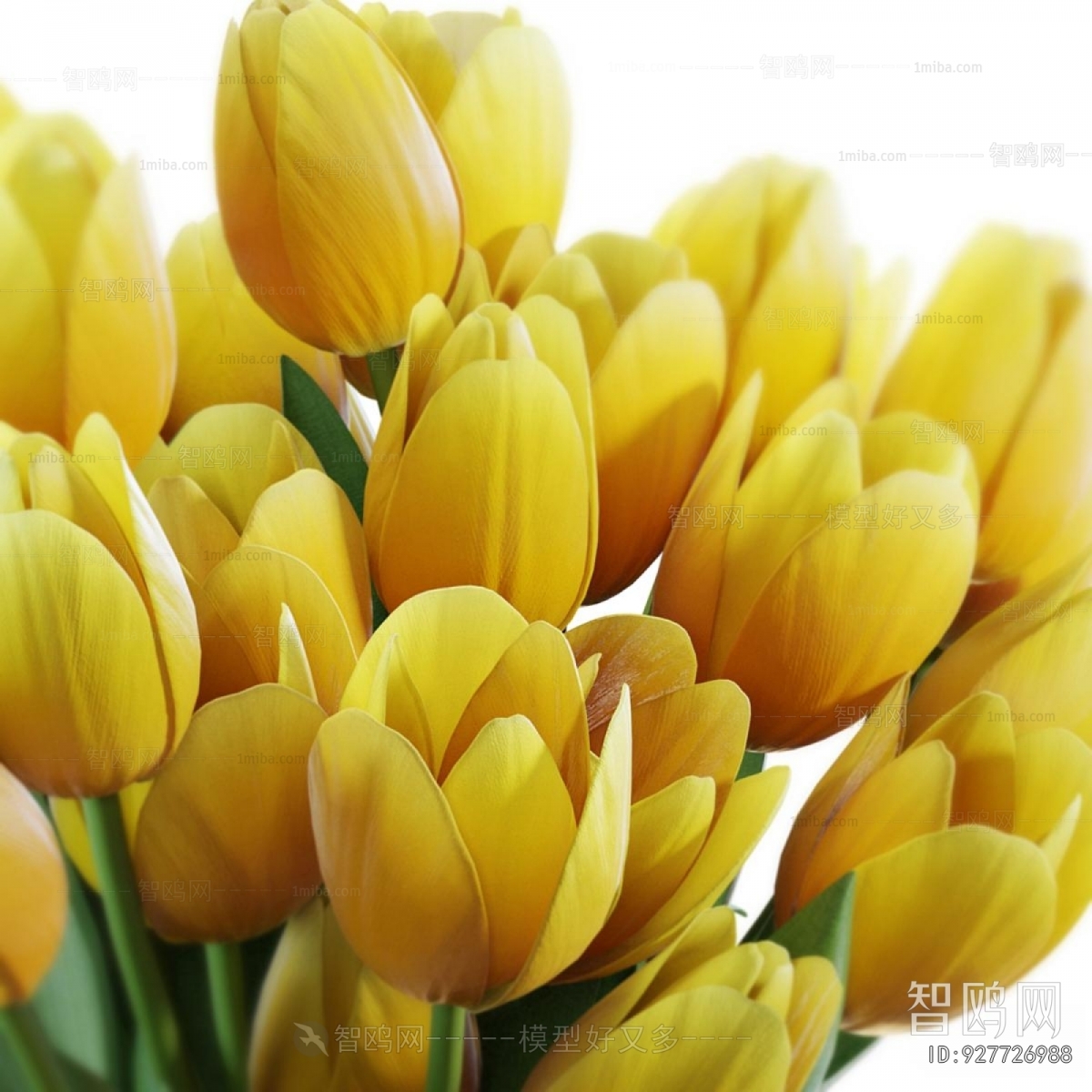 Modern Flower Arrangement