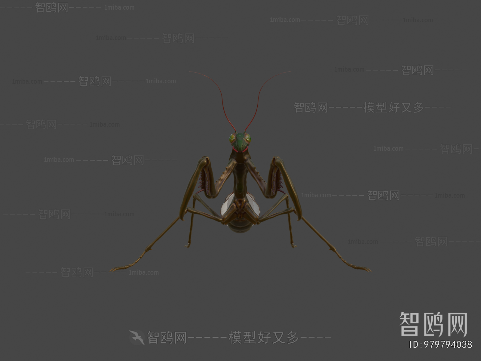 Modern Animal