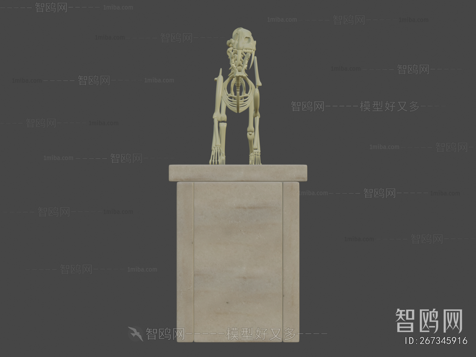 Modern Medical Equipment