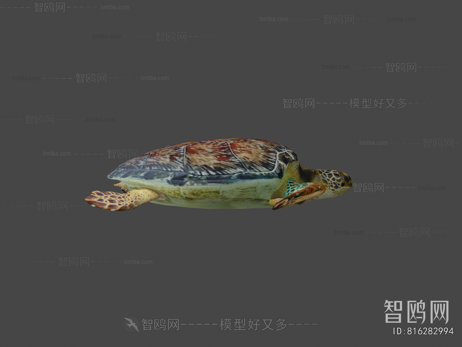 Modern Aquatic Animals