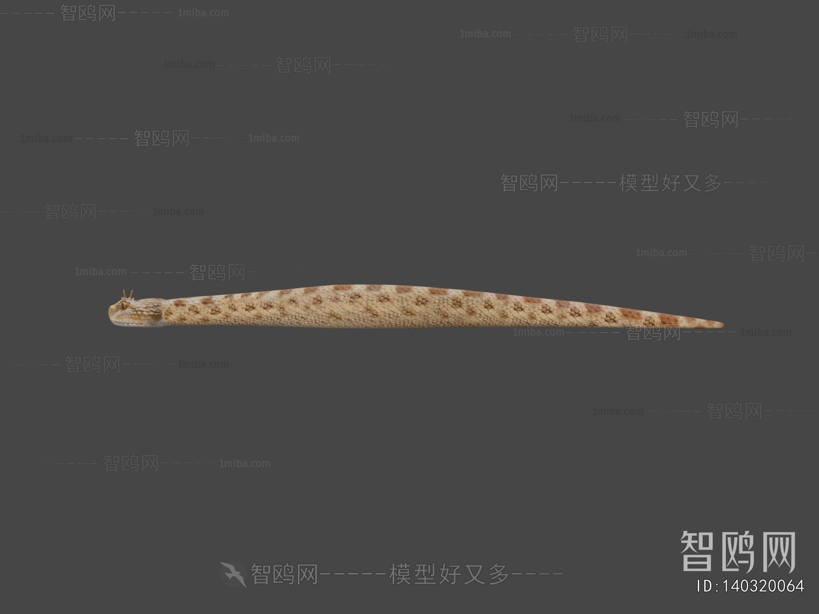 Modern Animal