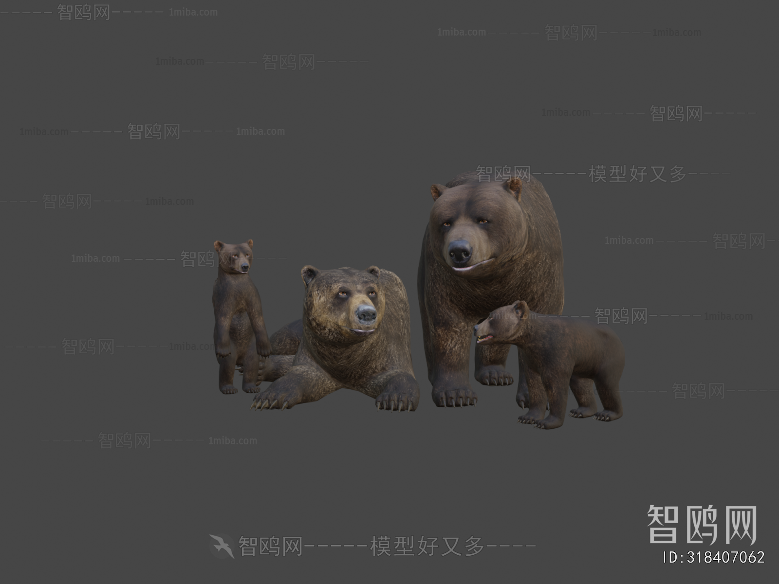 Modern Mammal