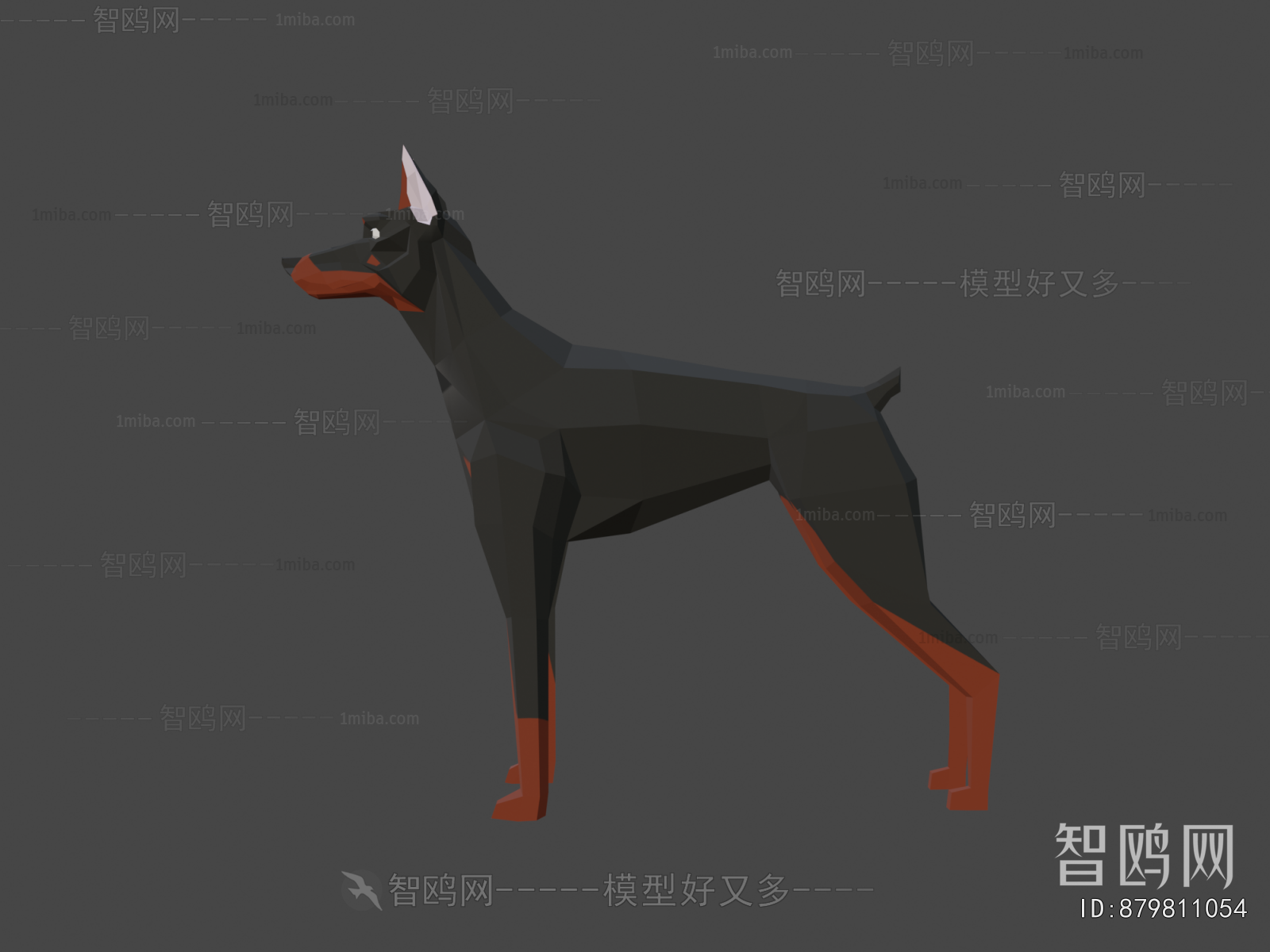Modern Animal