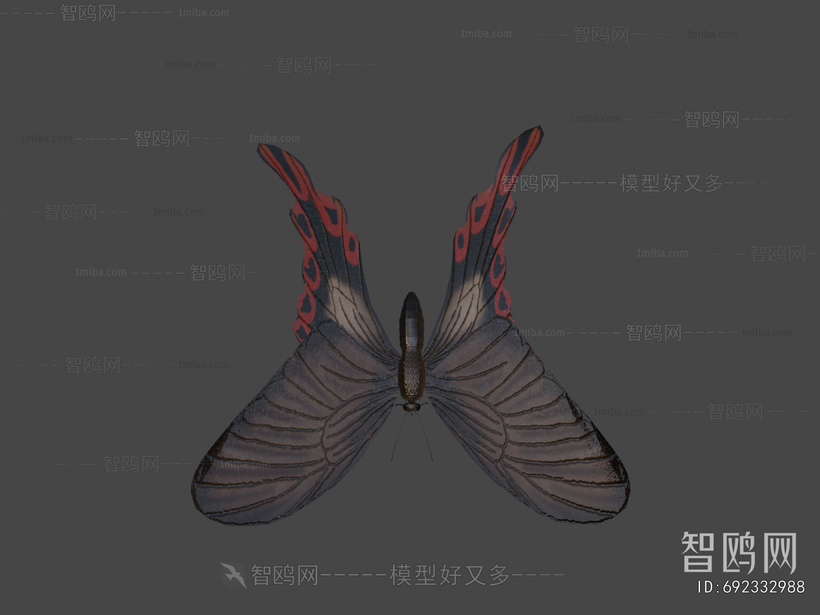 Modern Flying Animals