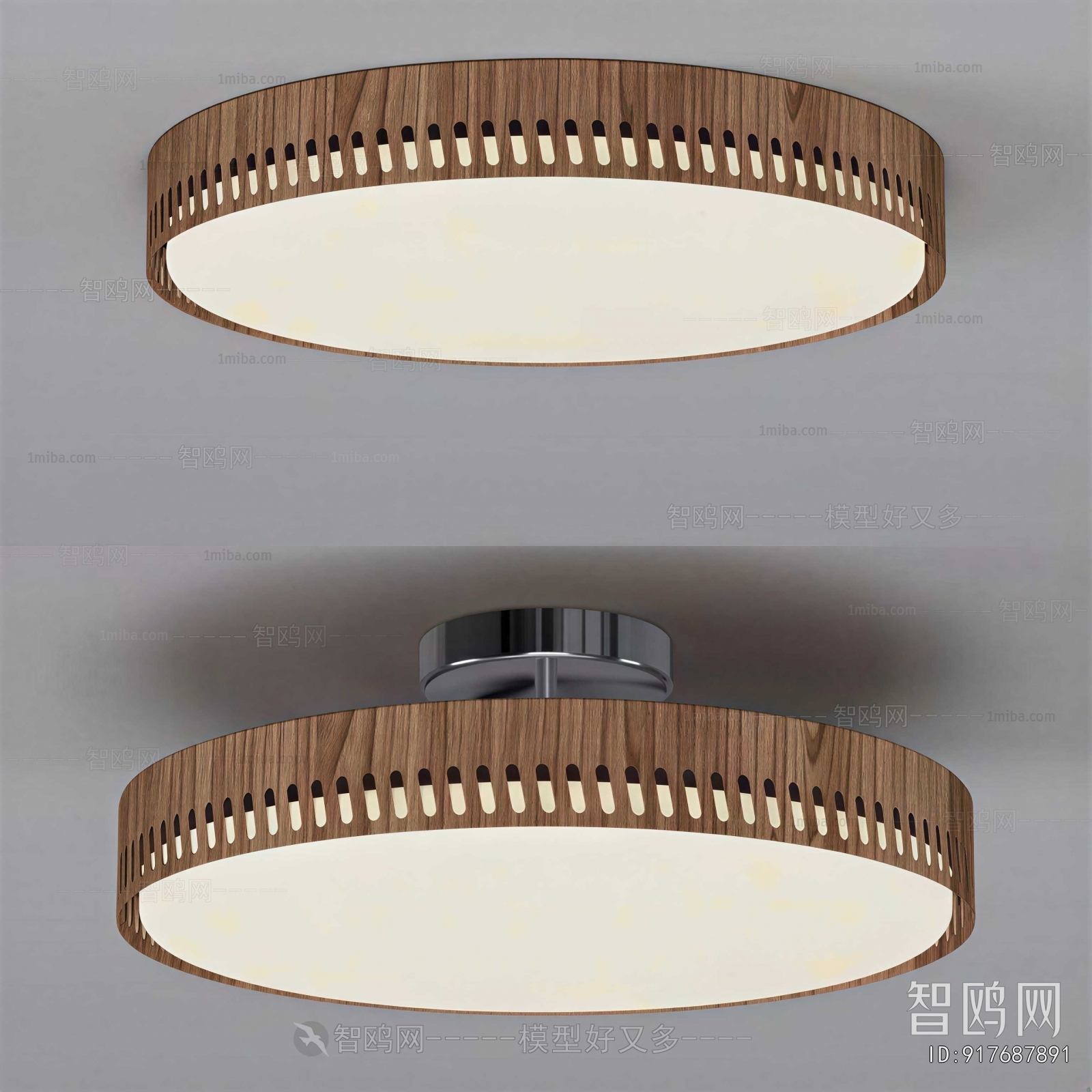 Modern Ceiling Ceiling Lamp