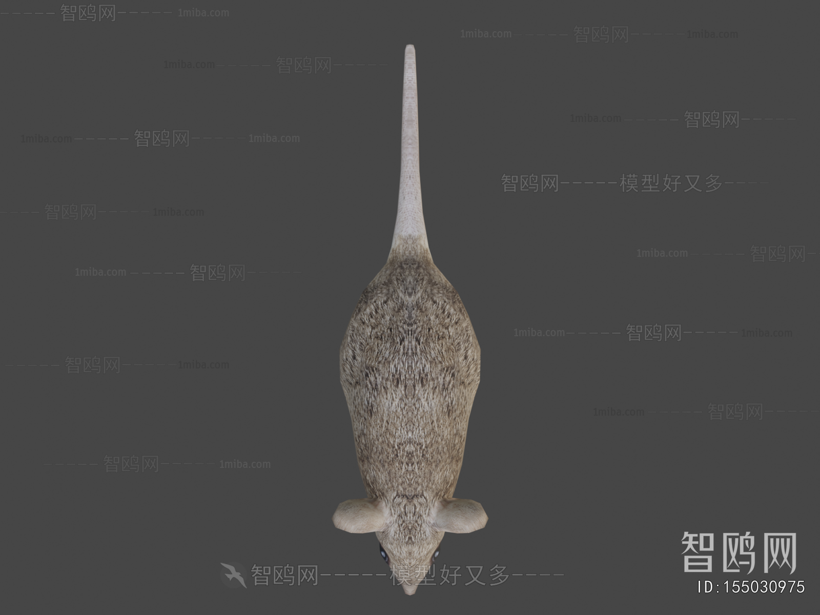 Modern Animal