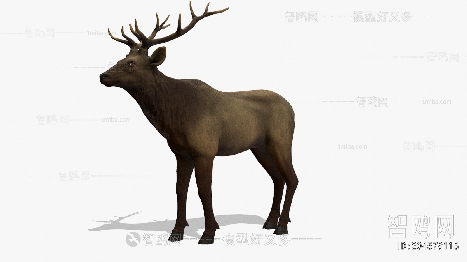 Modern Animal