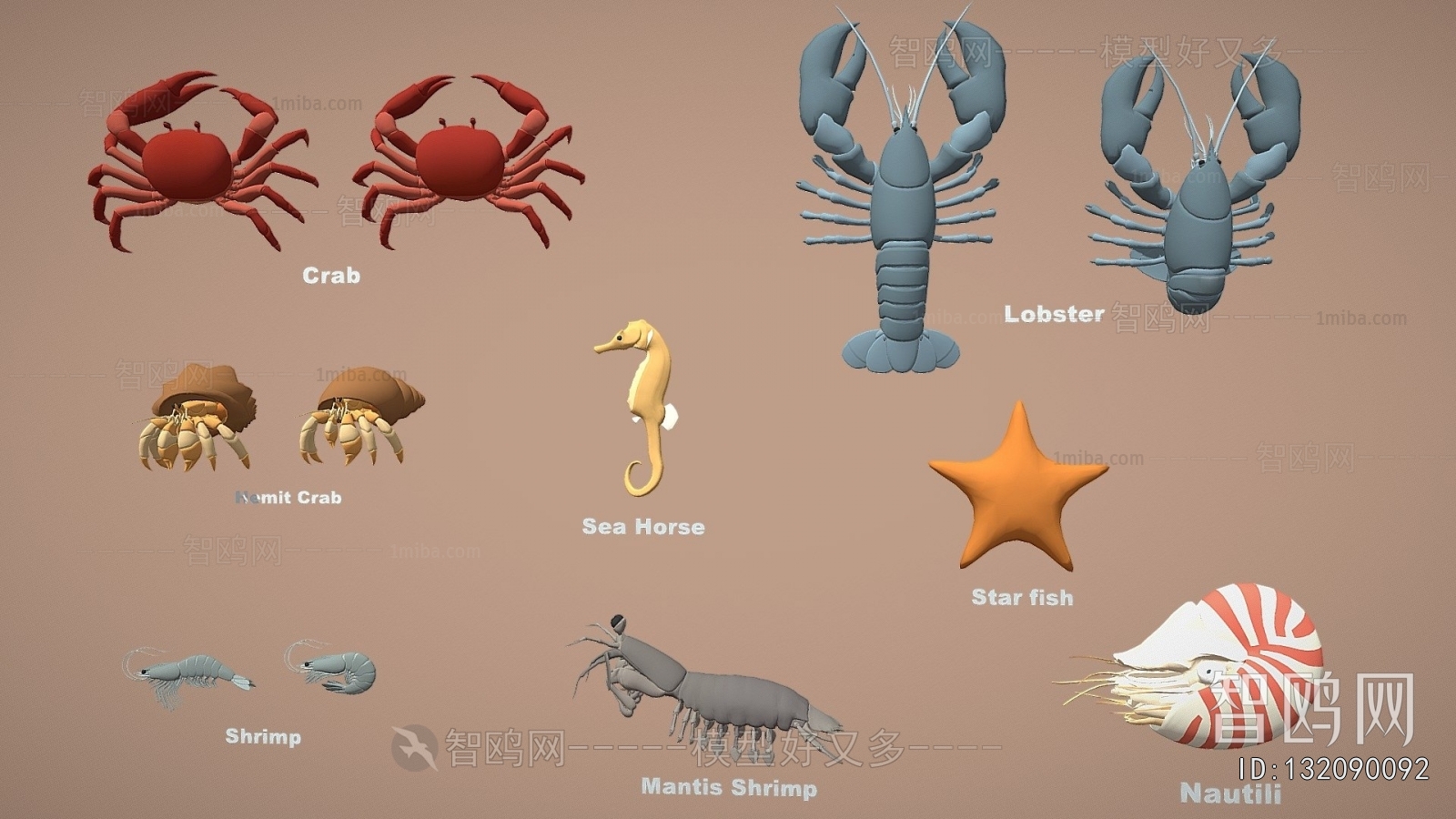 Modern Animal