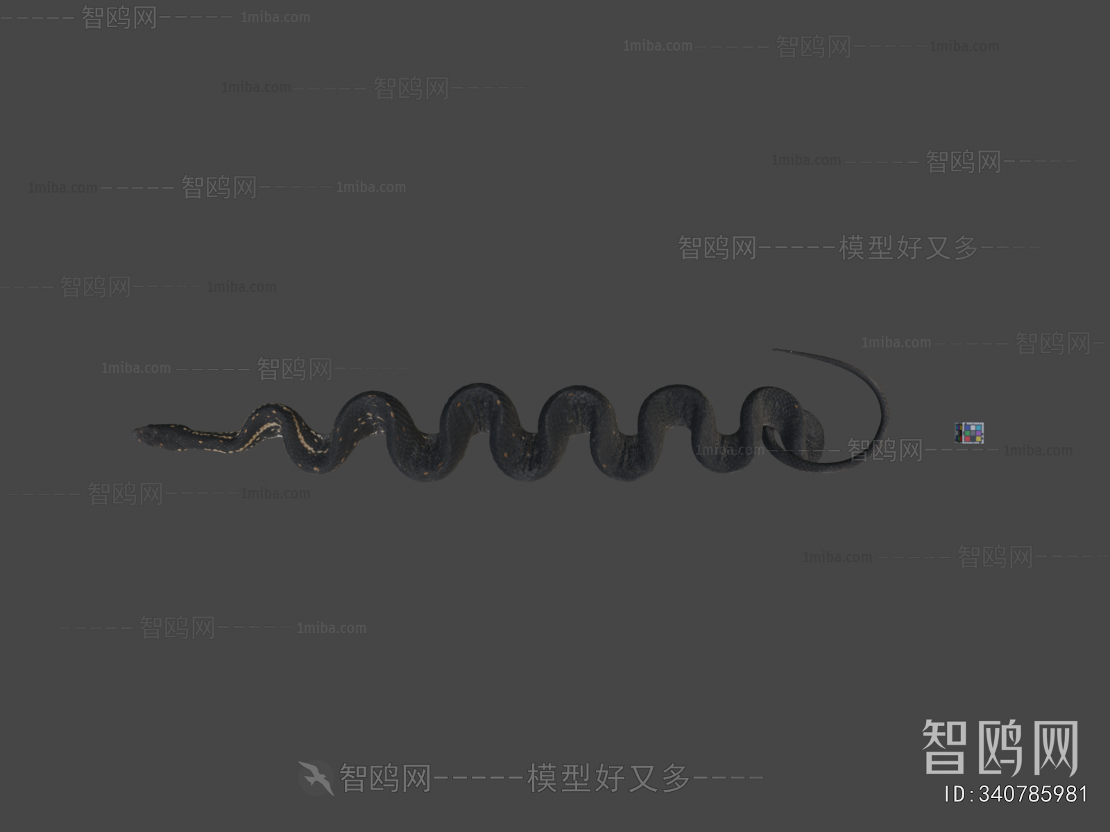Modern Animal