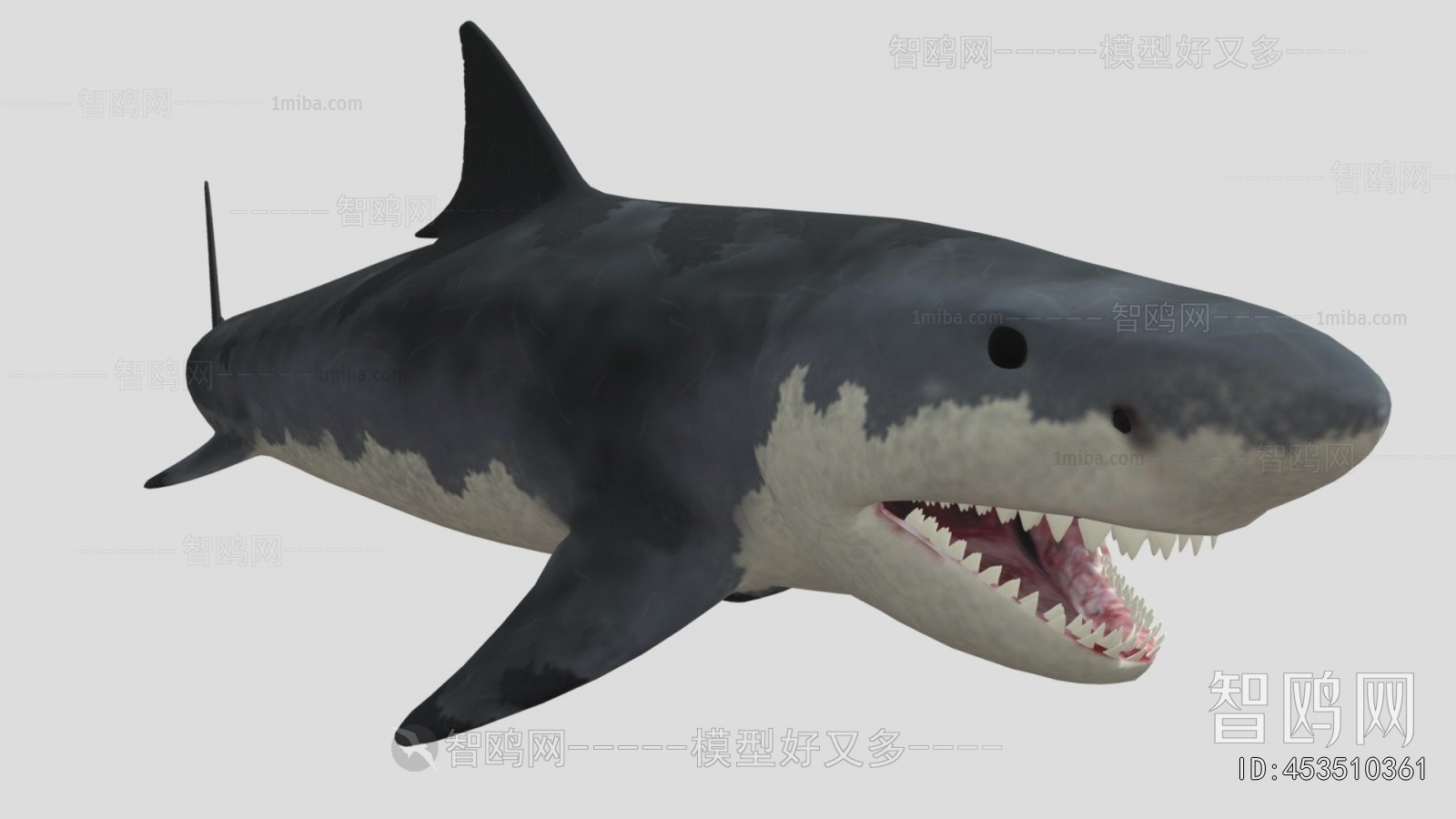 Modern Aquatic Animals