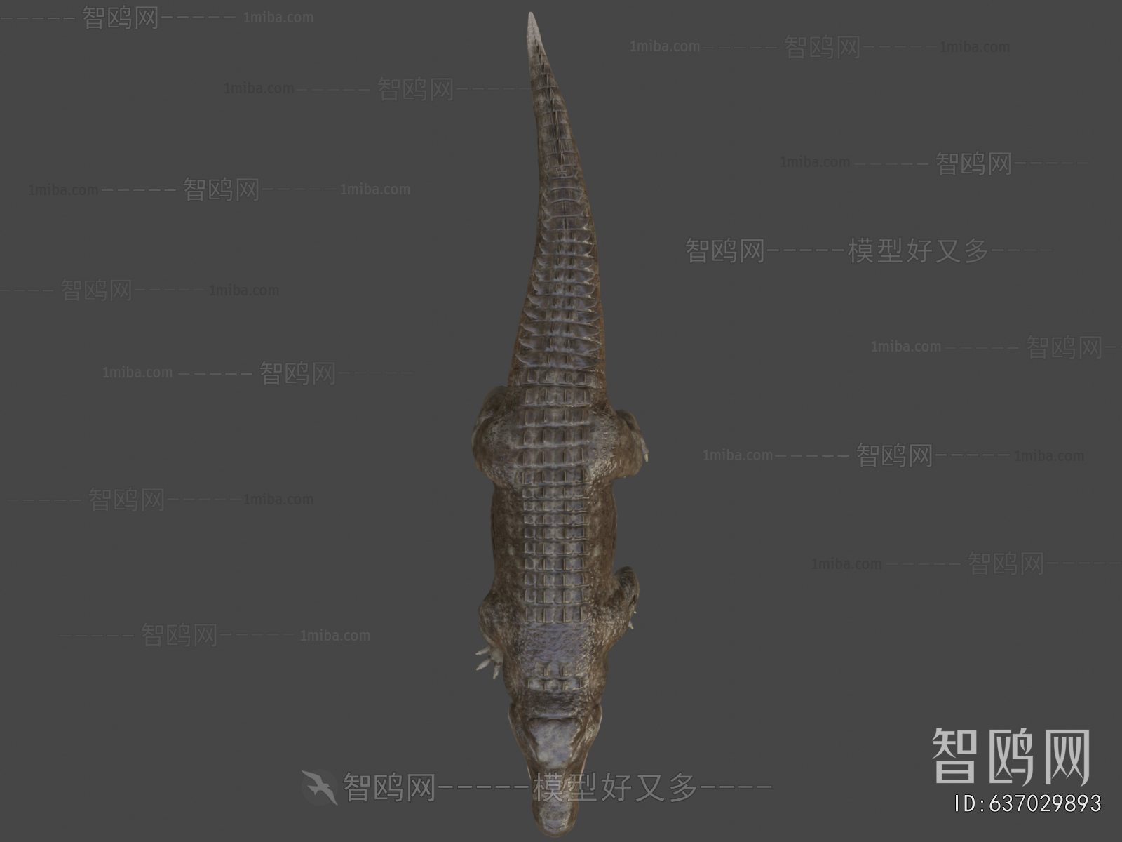 Modern Reptile