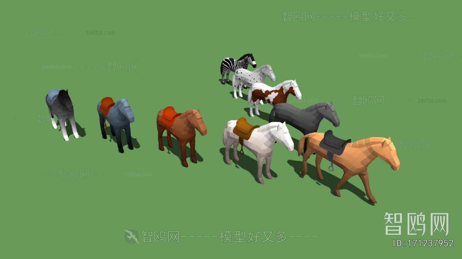Modern Animal