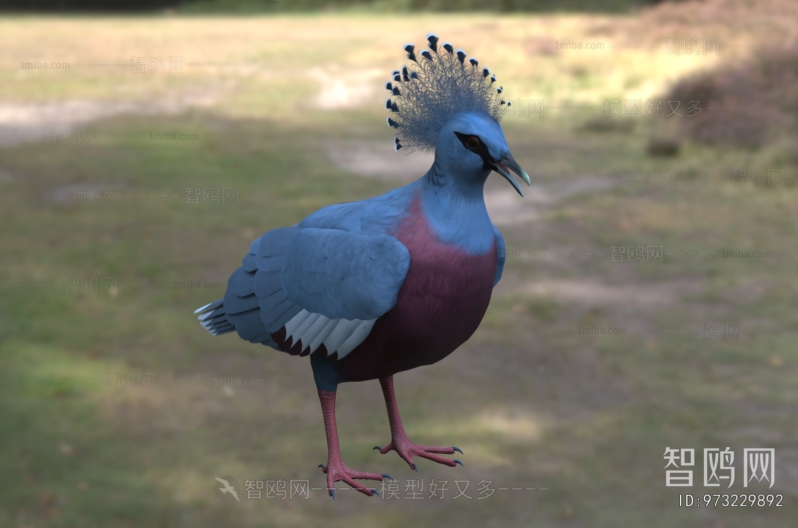 Modern Poultry Animal