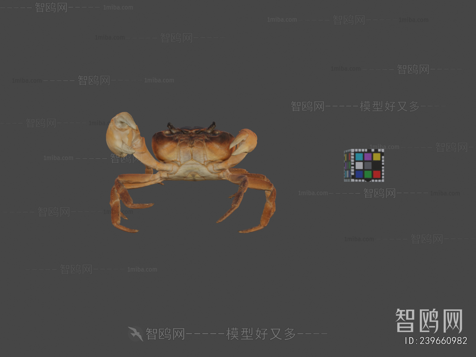 Modern Aquatic Animals
