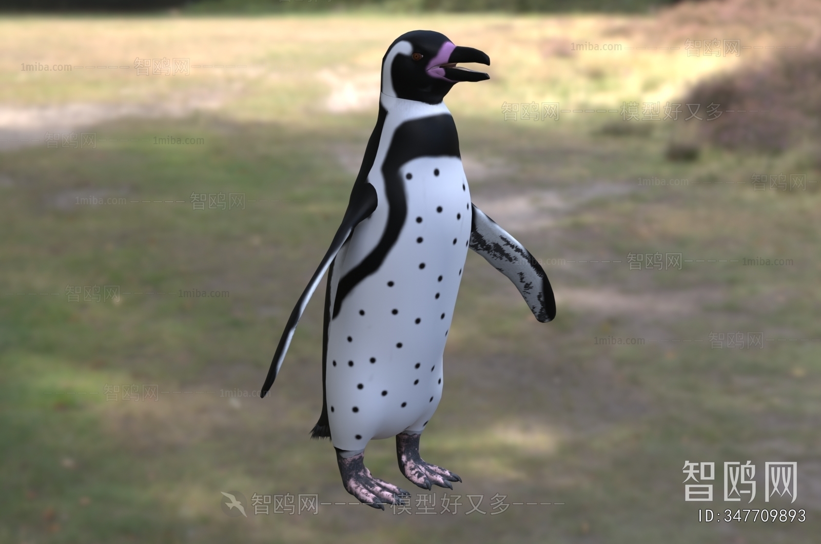 Modern Mammal