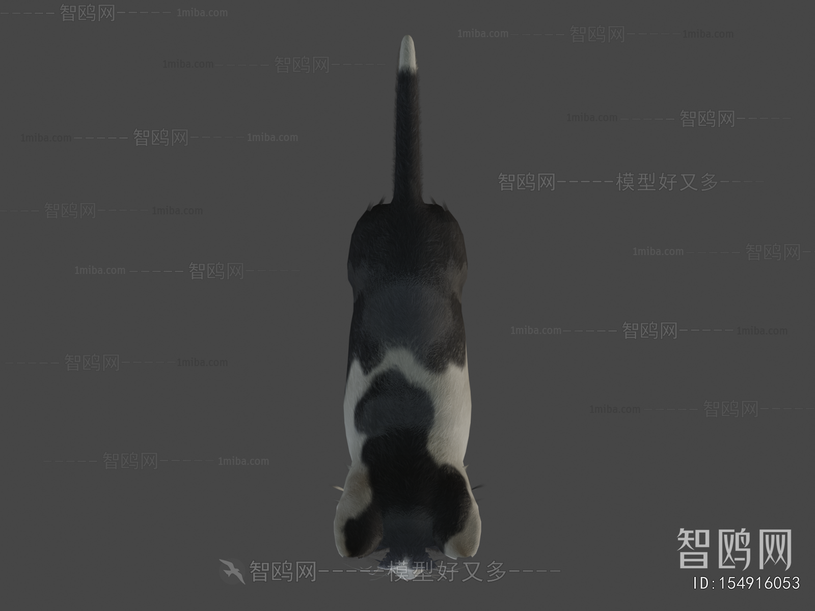 Modern Animal