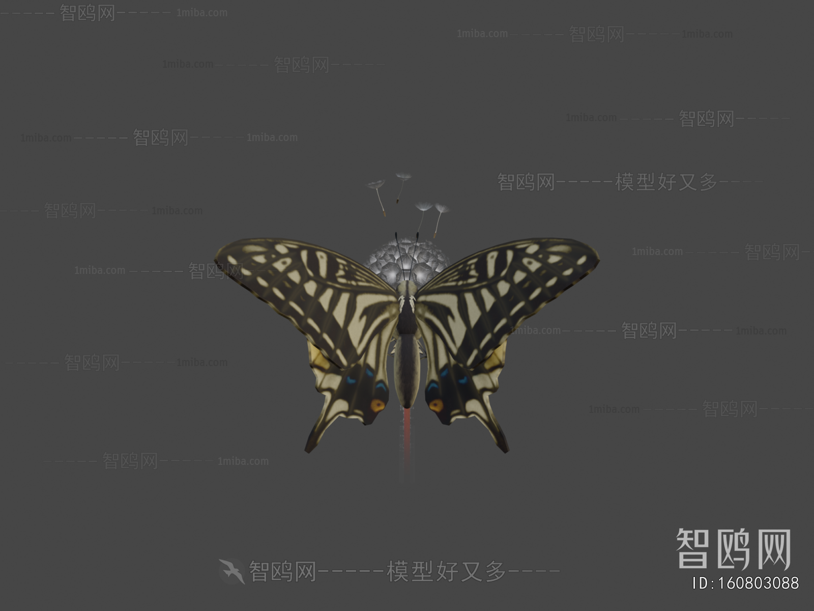 Modern Animal