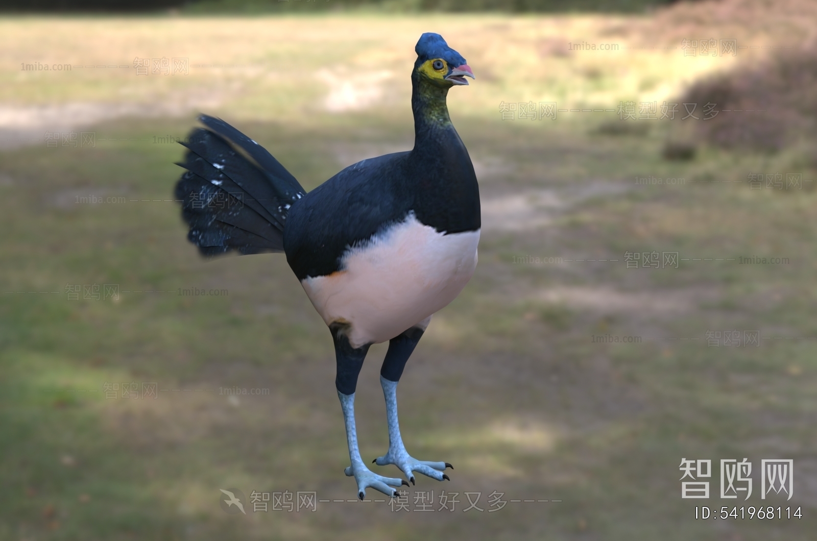 Modern Flying Animals