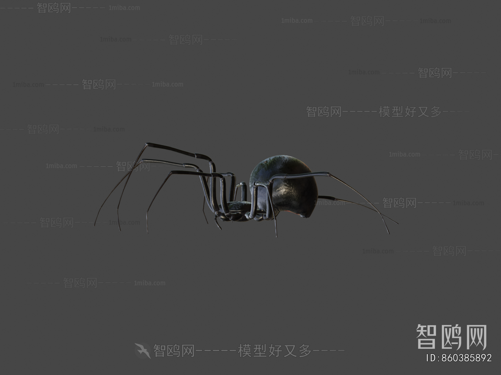 Modern Animal