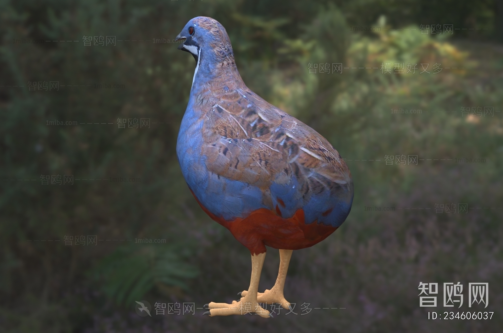 Modern Flying Animals