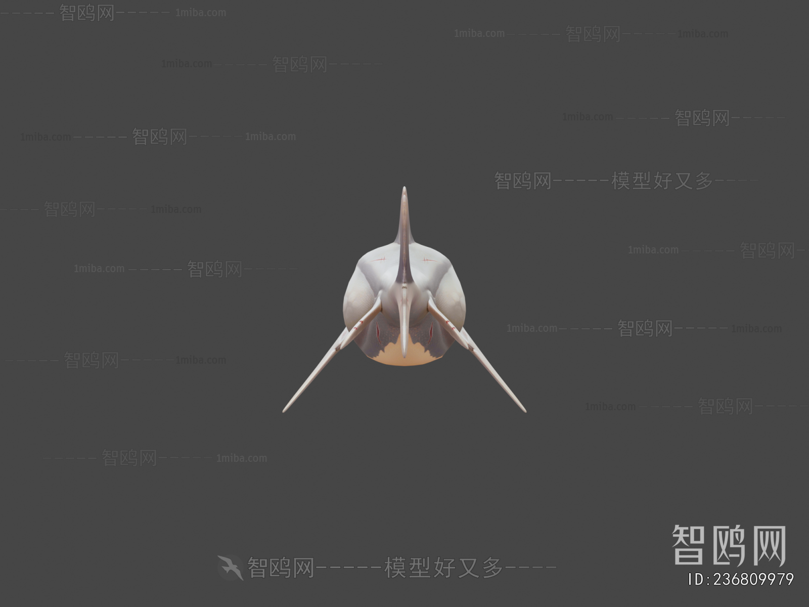 Modern Animal