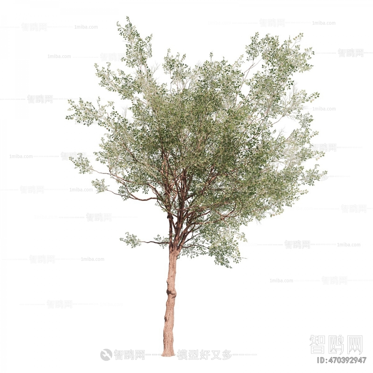 Modern Tree