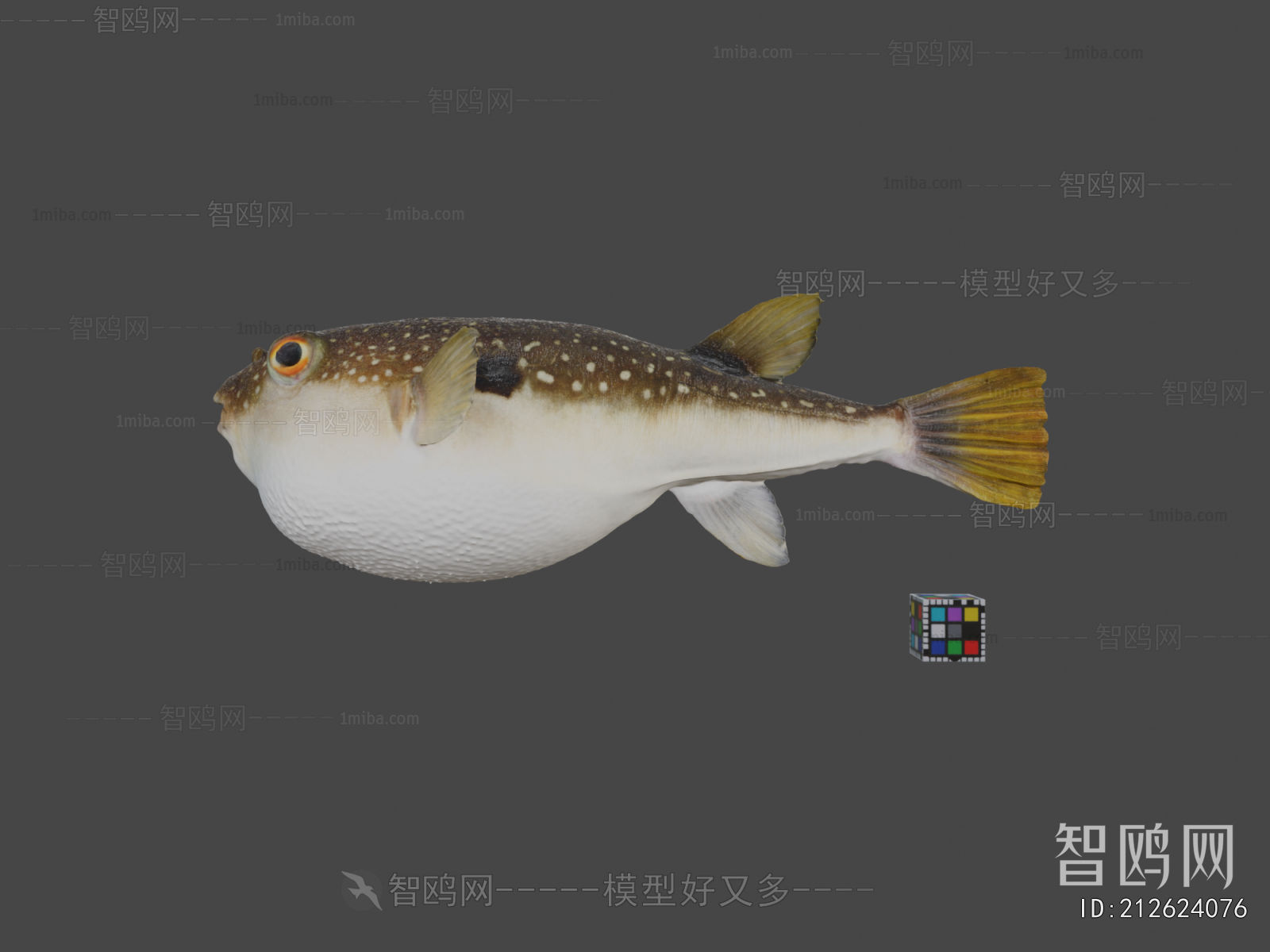Modern Aquatic Animals