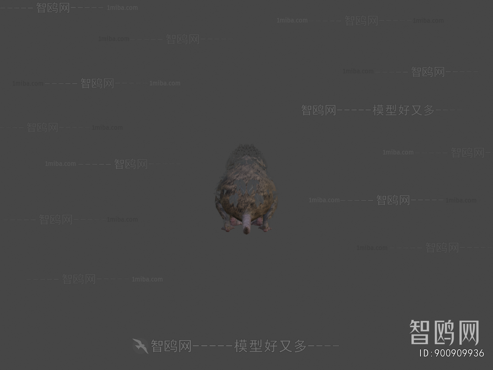 Modern Animal