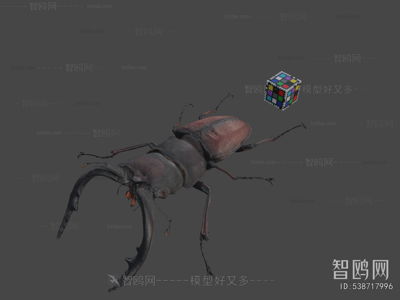 Modern Animal