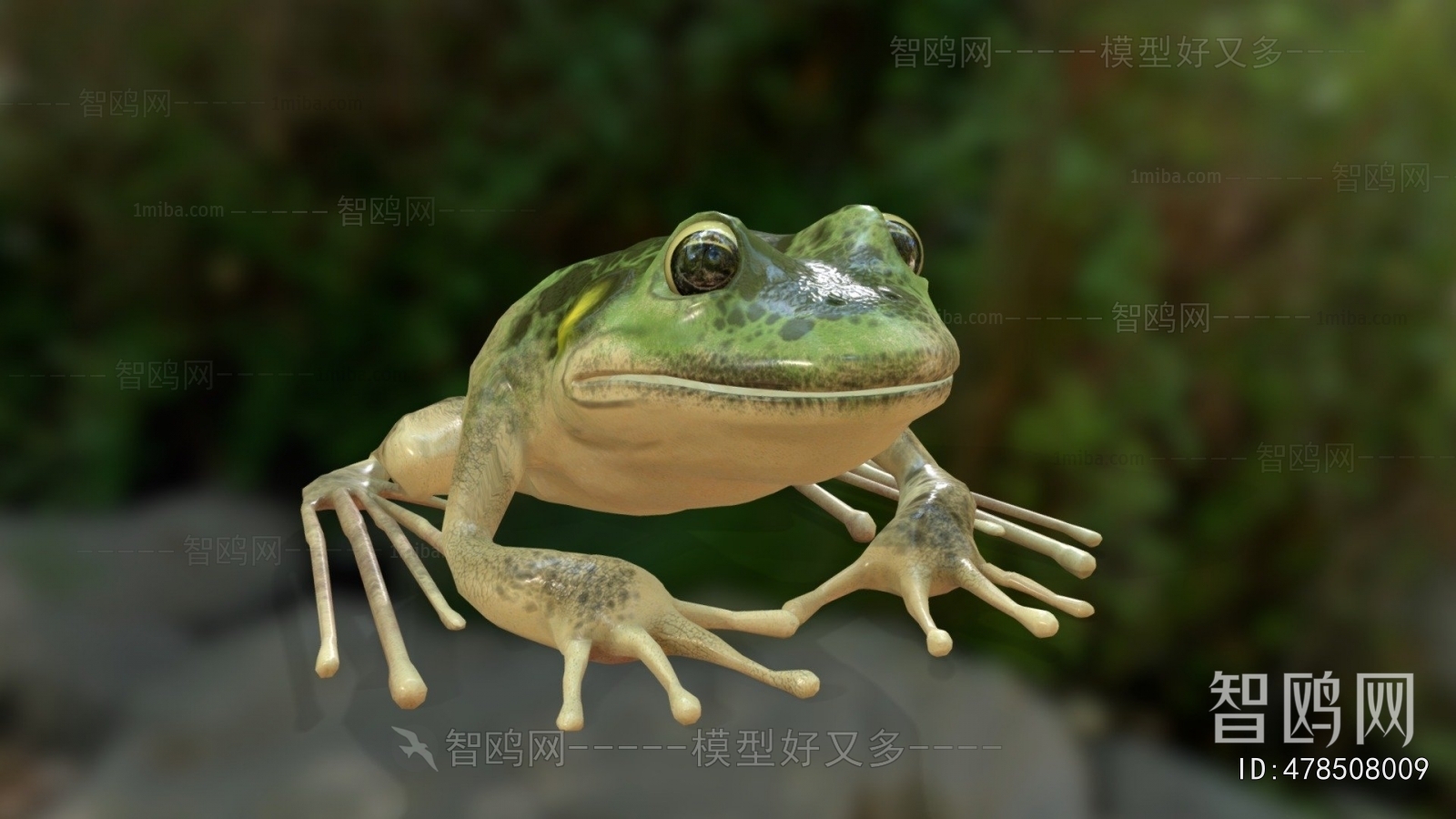 Modern Aquatic Animals