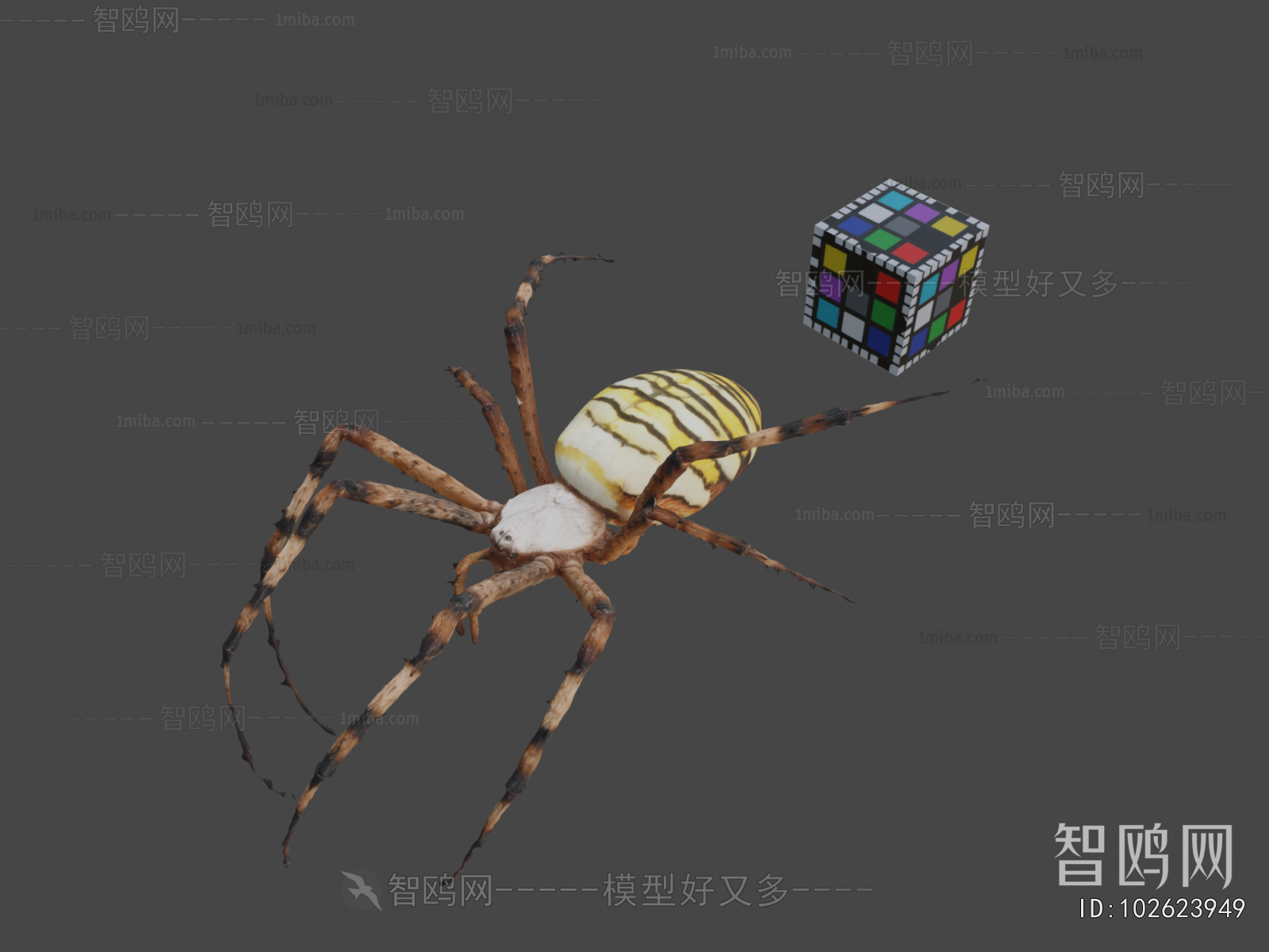 Modern Animal