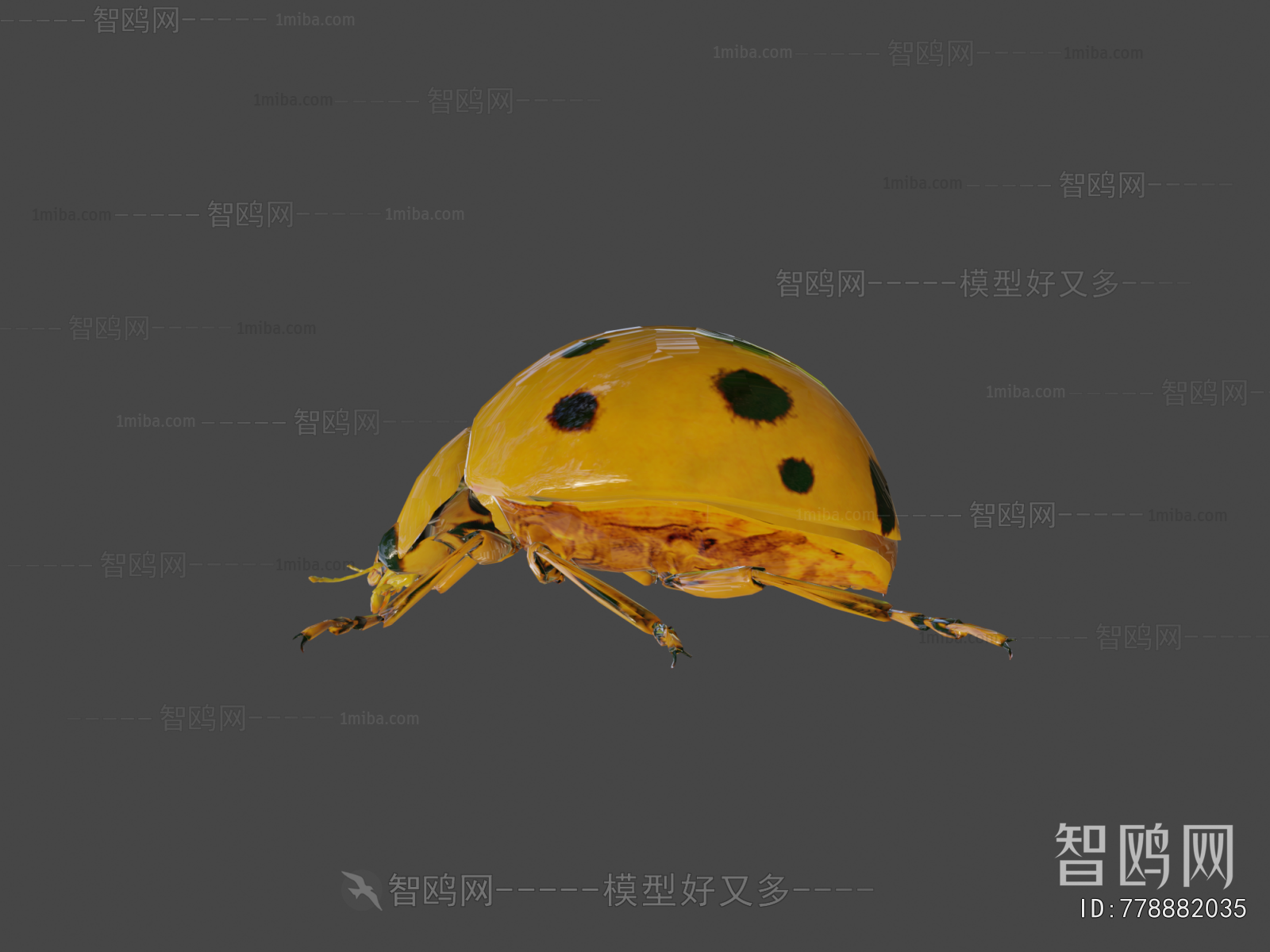 Modern Other Animals