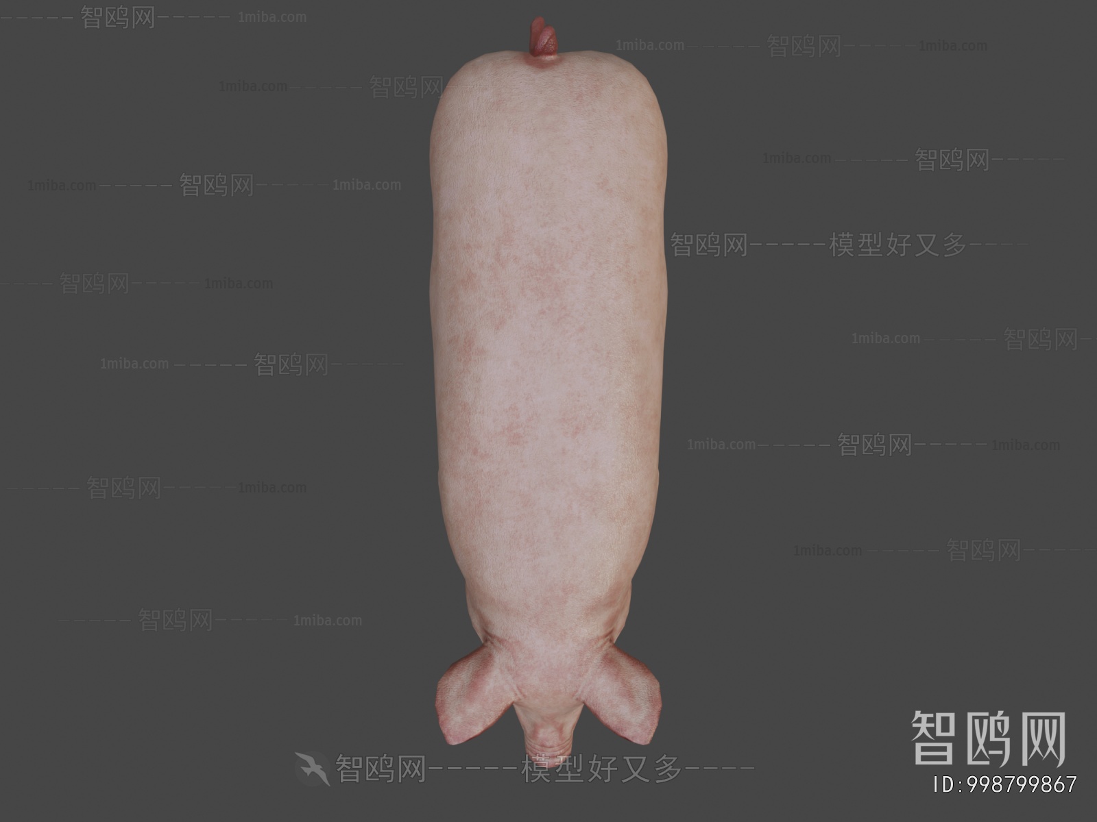 Modern Animal Pig