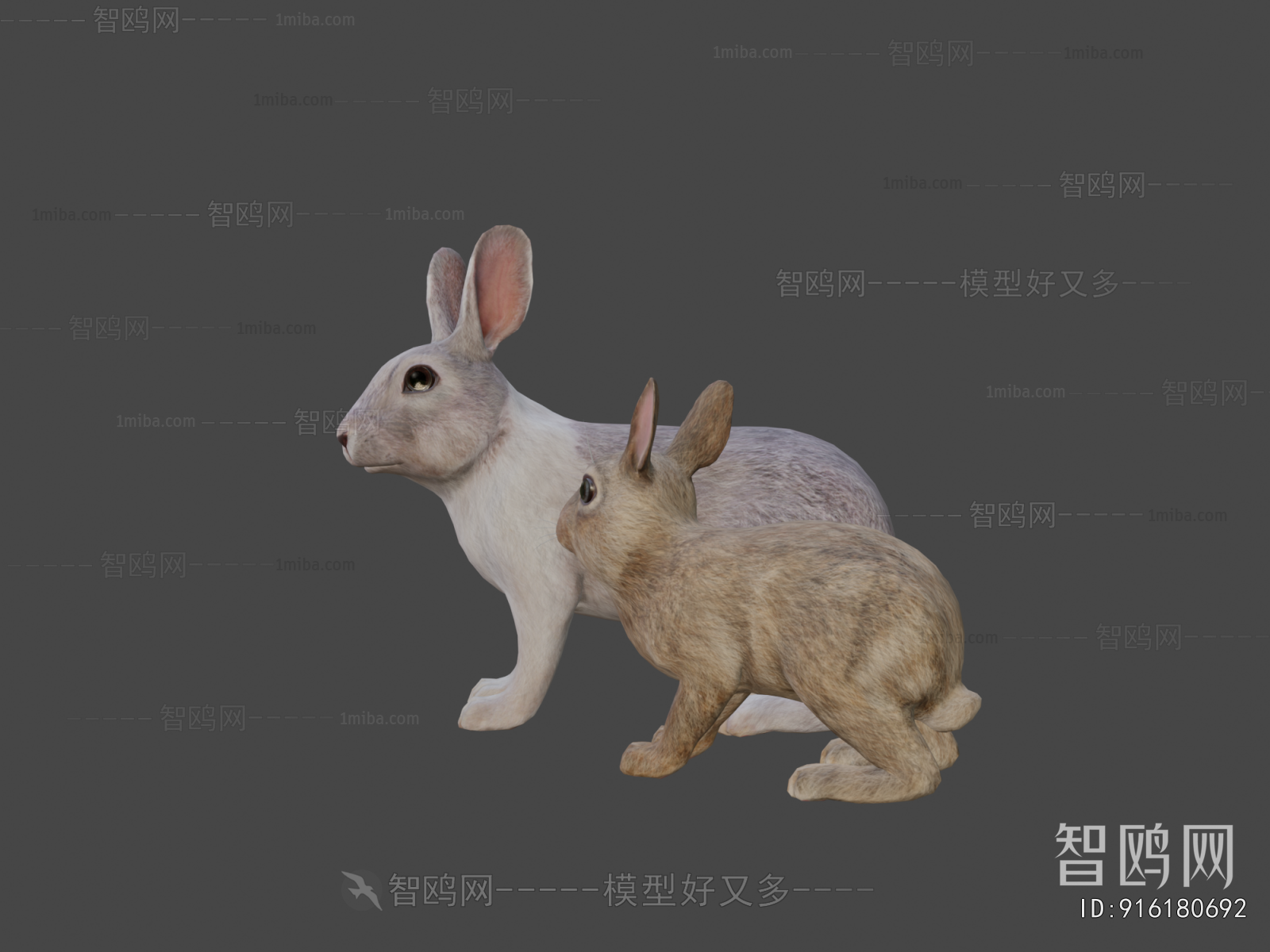 Modern Animal