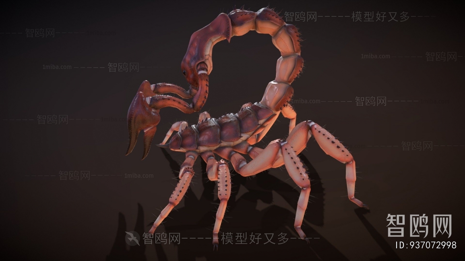 Modern Animal