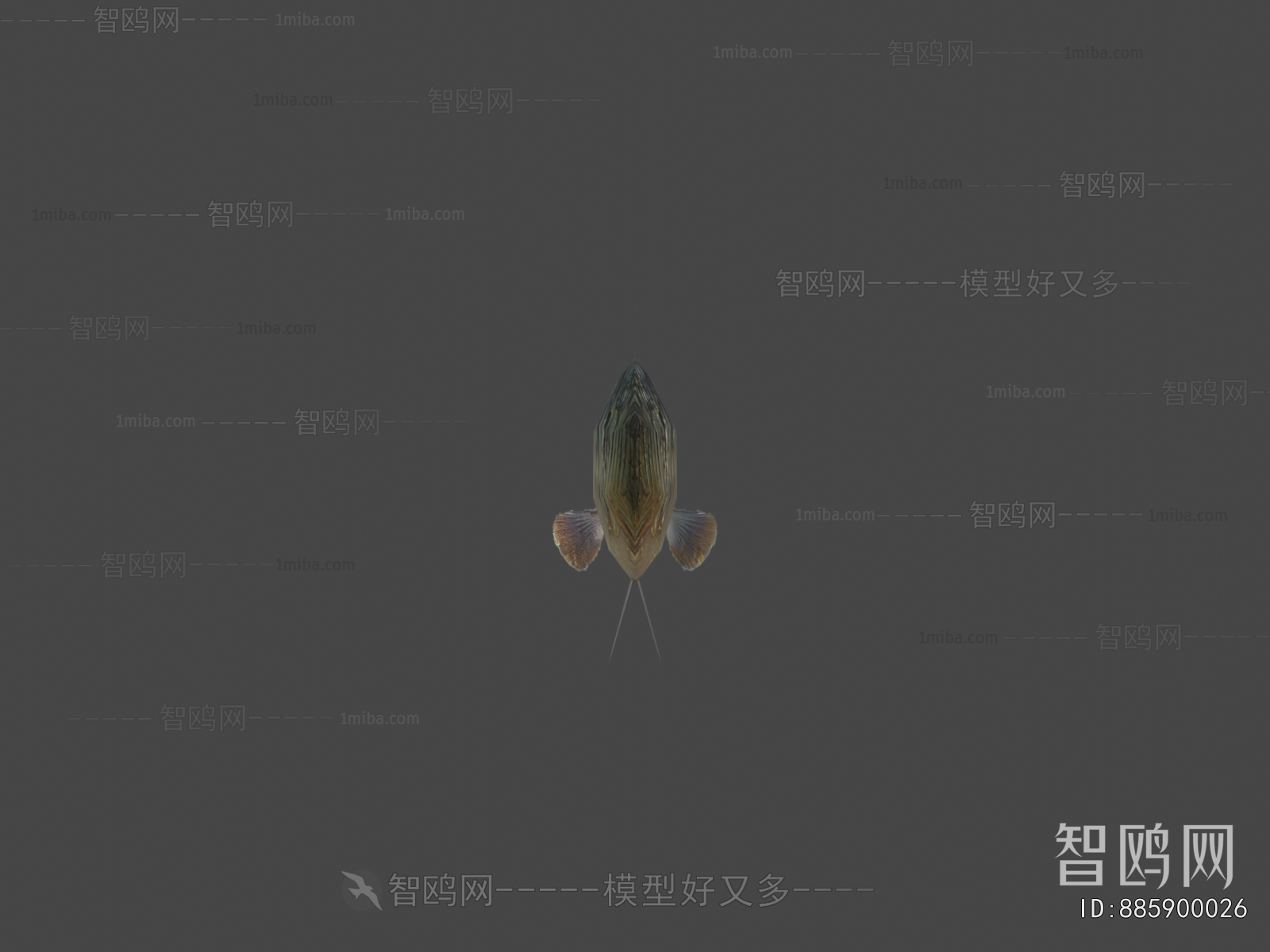 Modern Aquatic Animals