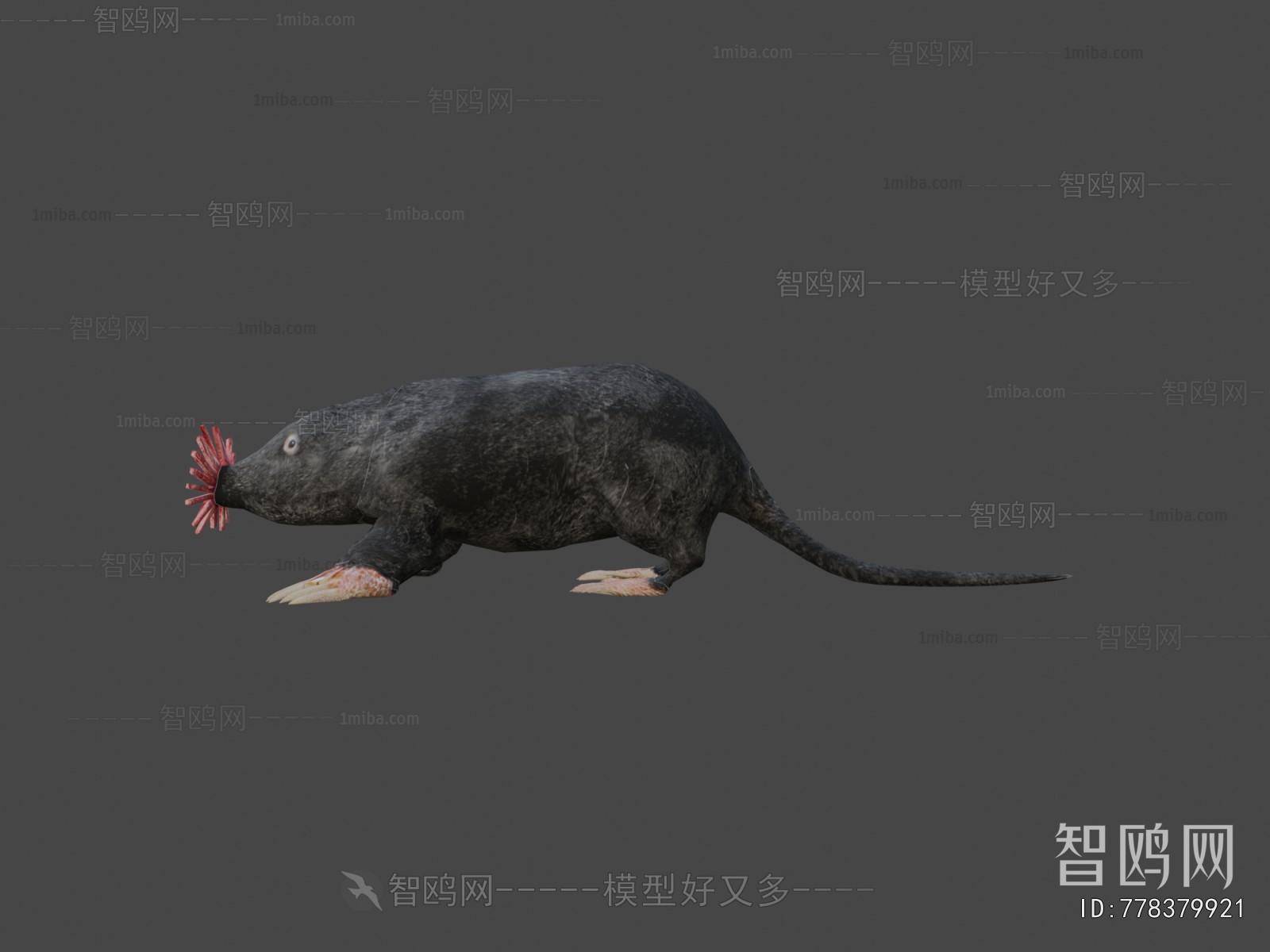 Modern Animal