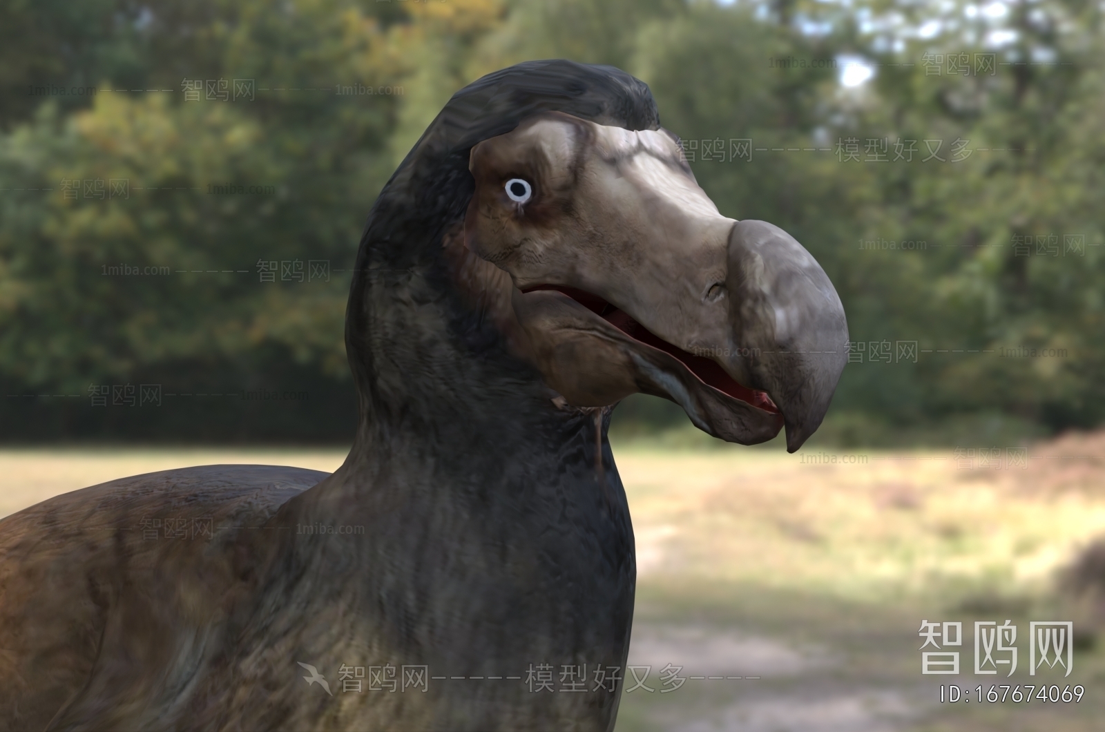 Modern Poultry Animal