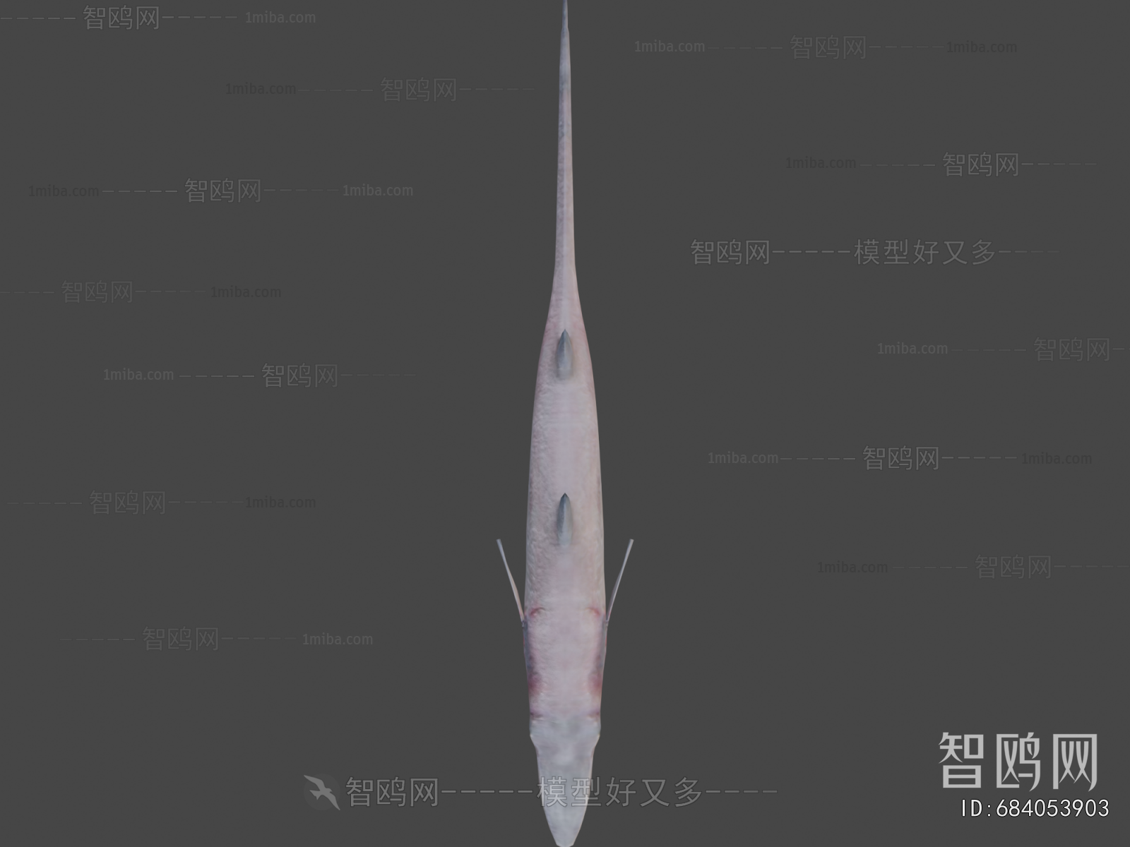 Modern Animal