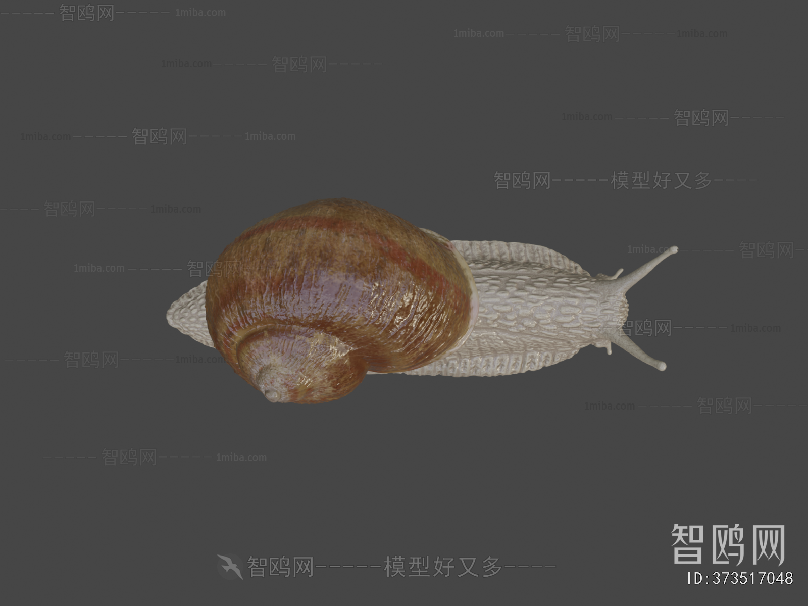 Modern Animal