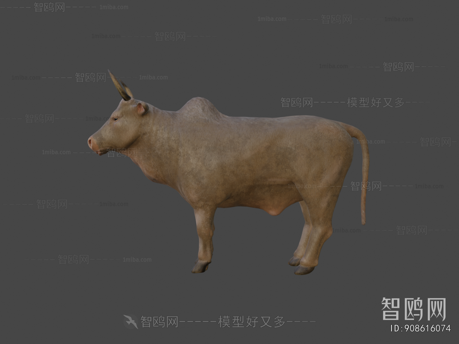 Modern Mammal