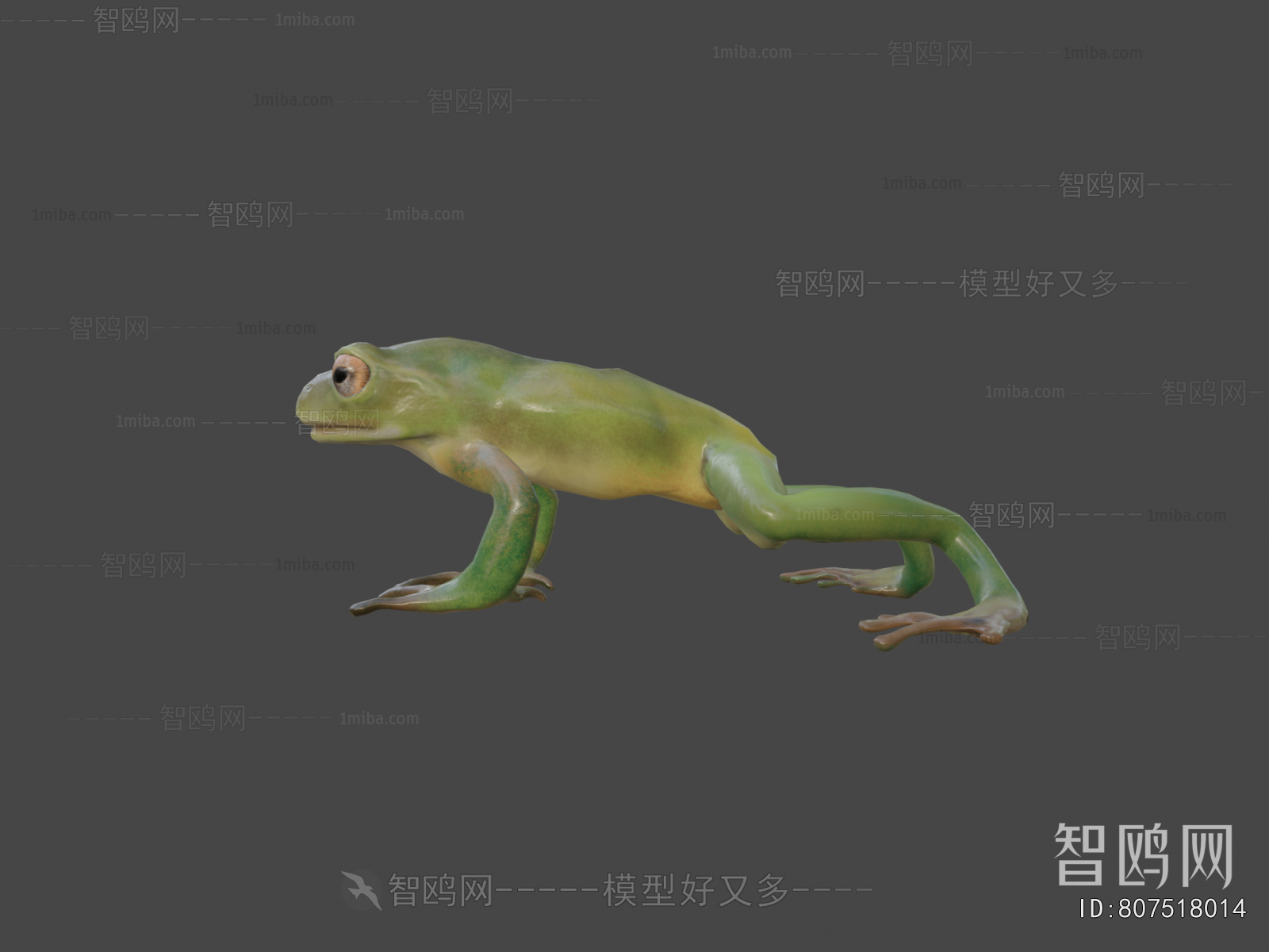 Modern Reptile