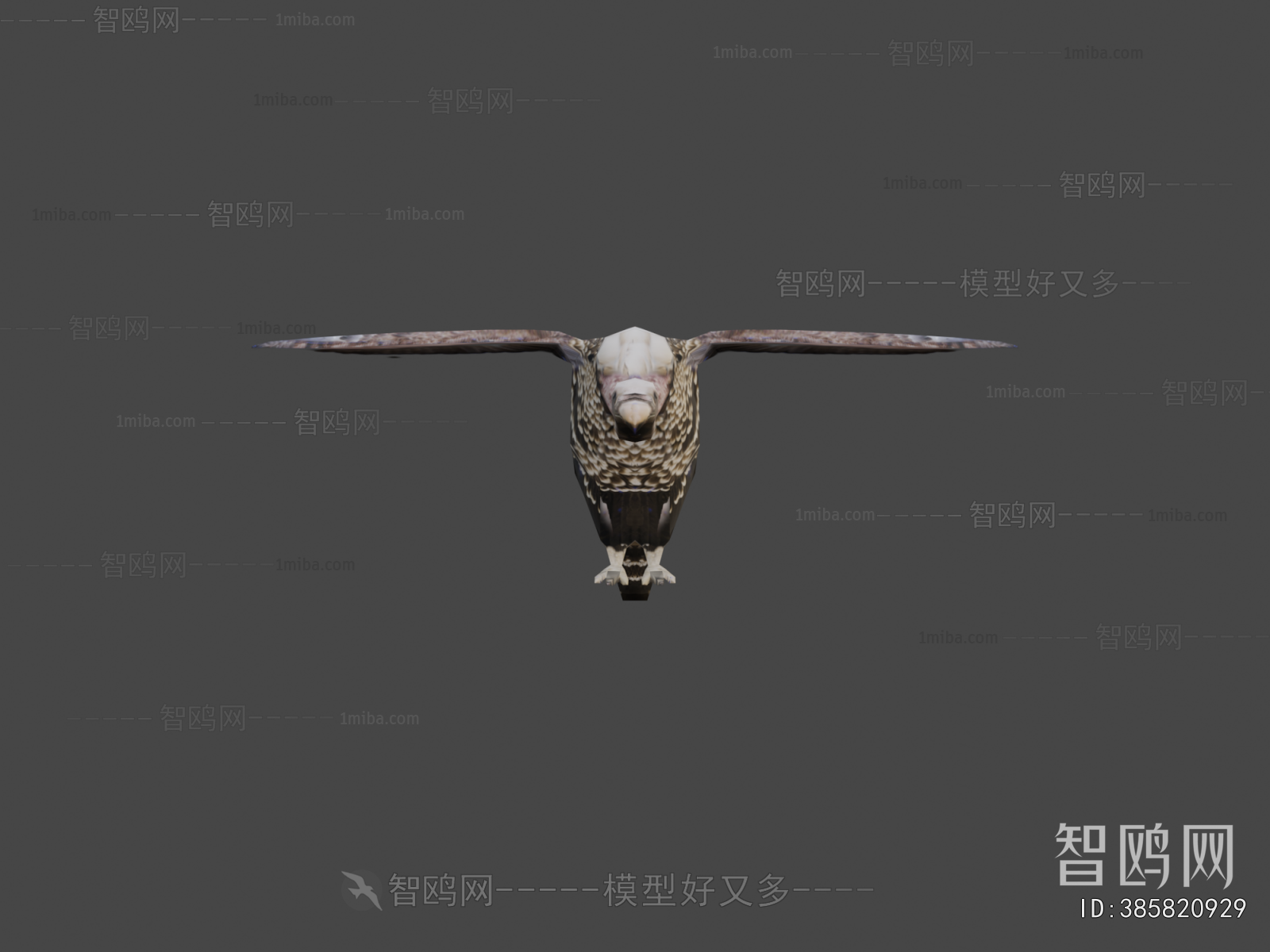 Modern Flying Animals
