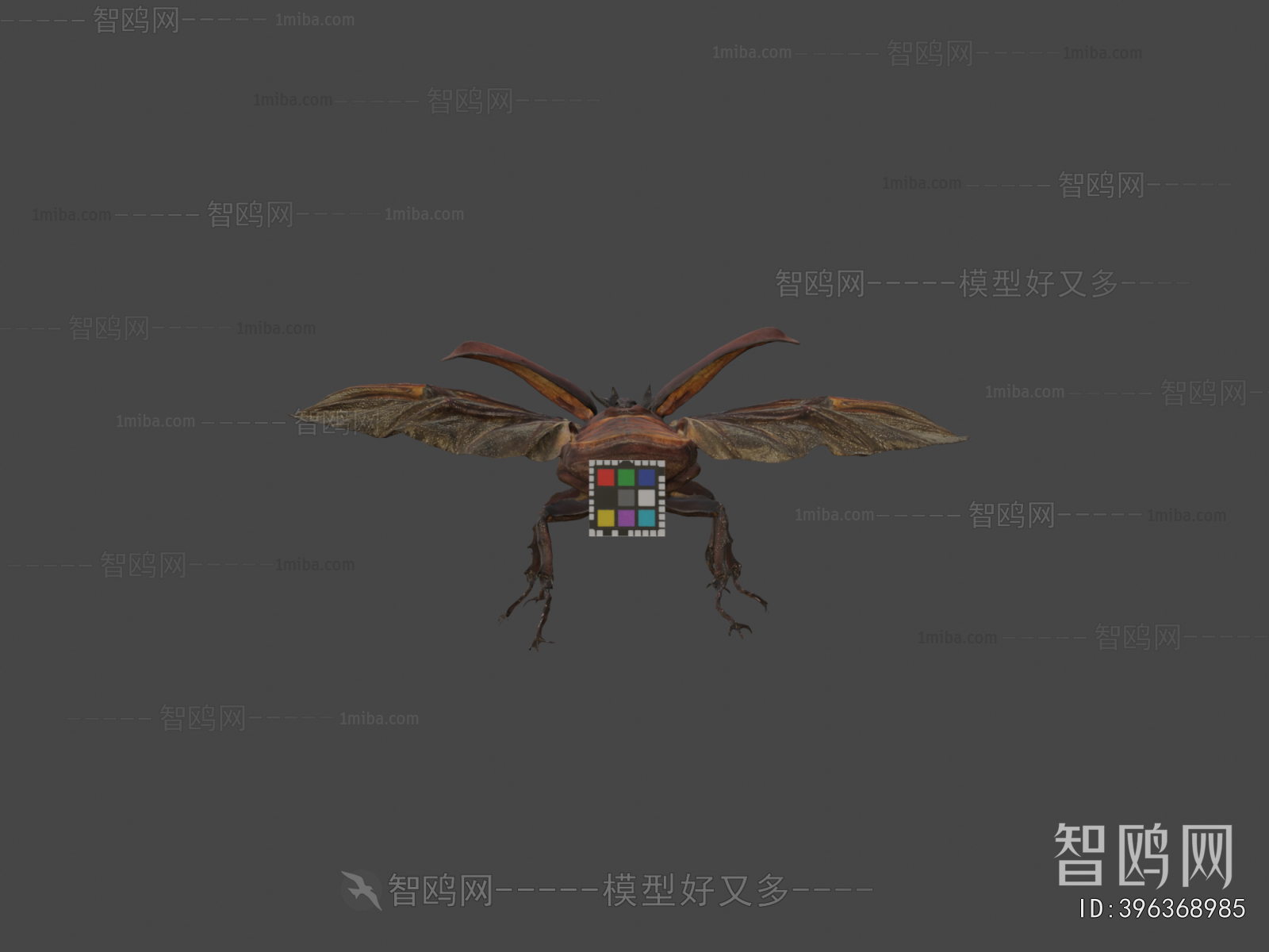 Modern Animal