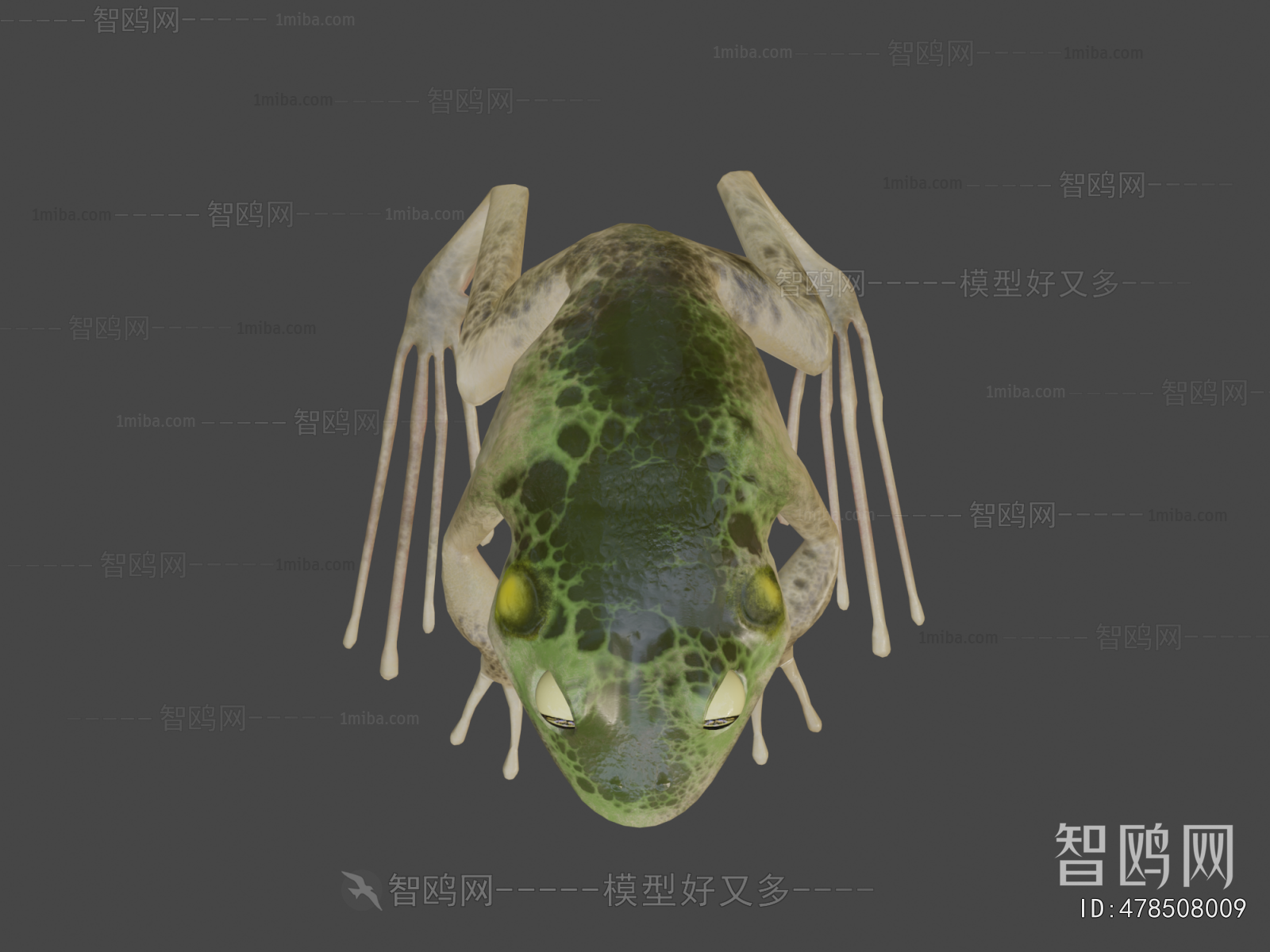 Modern Aquatic Animals