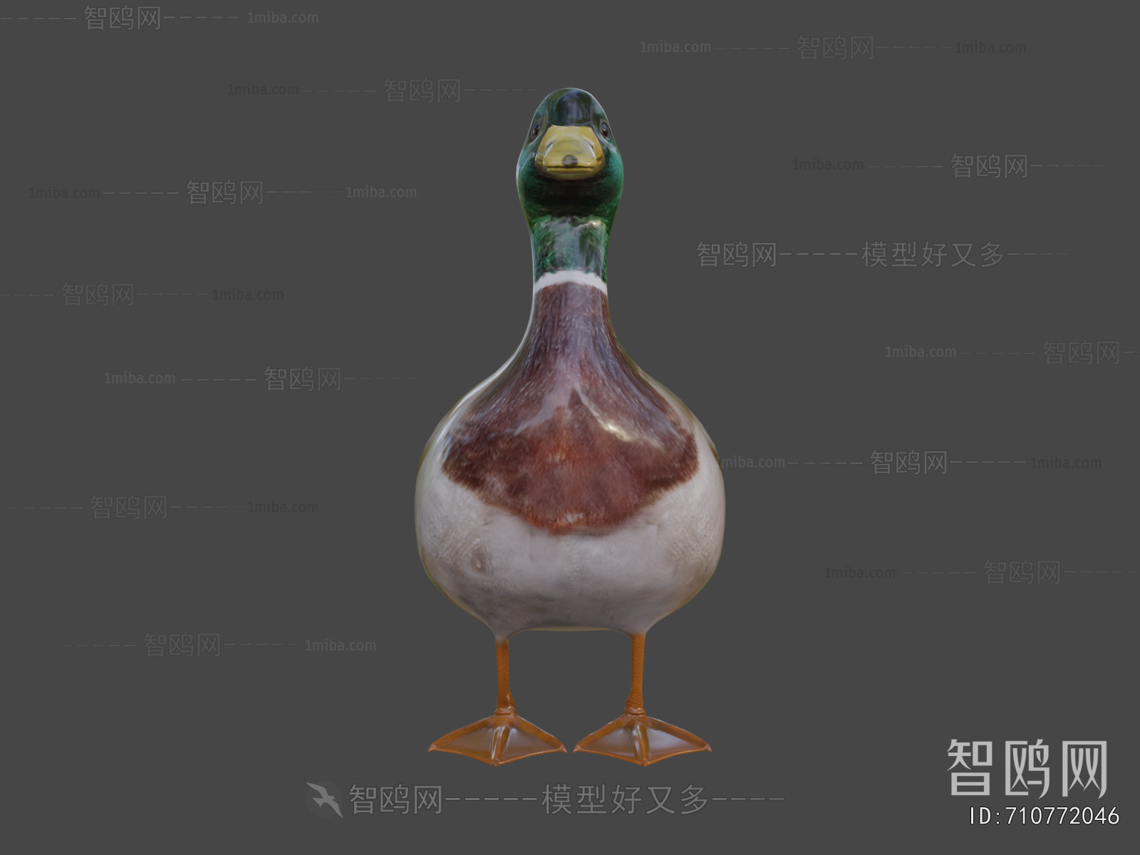 Modern Poultry Animal