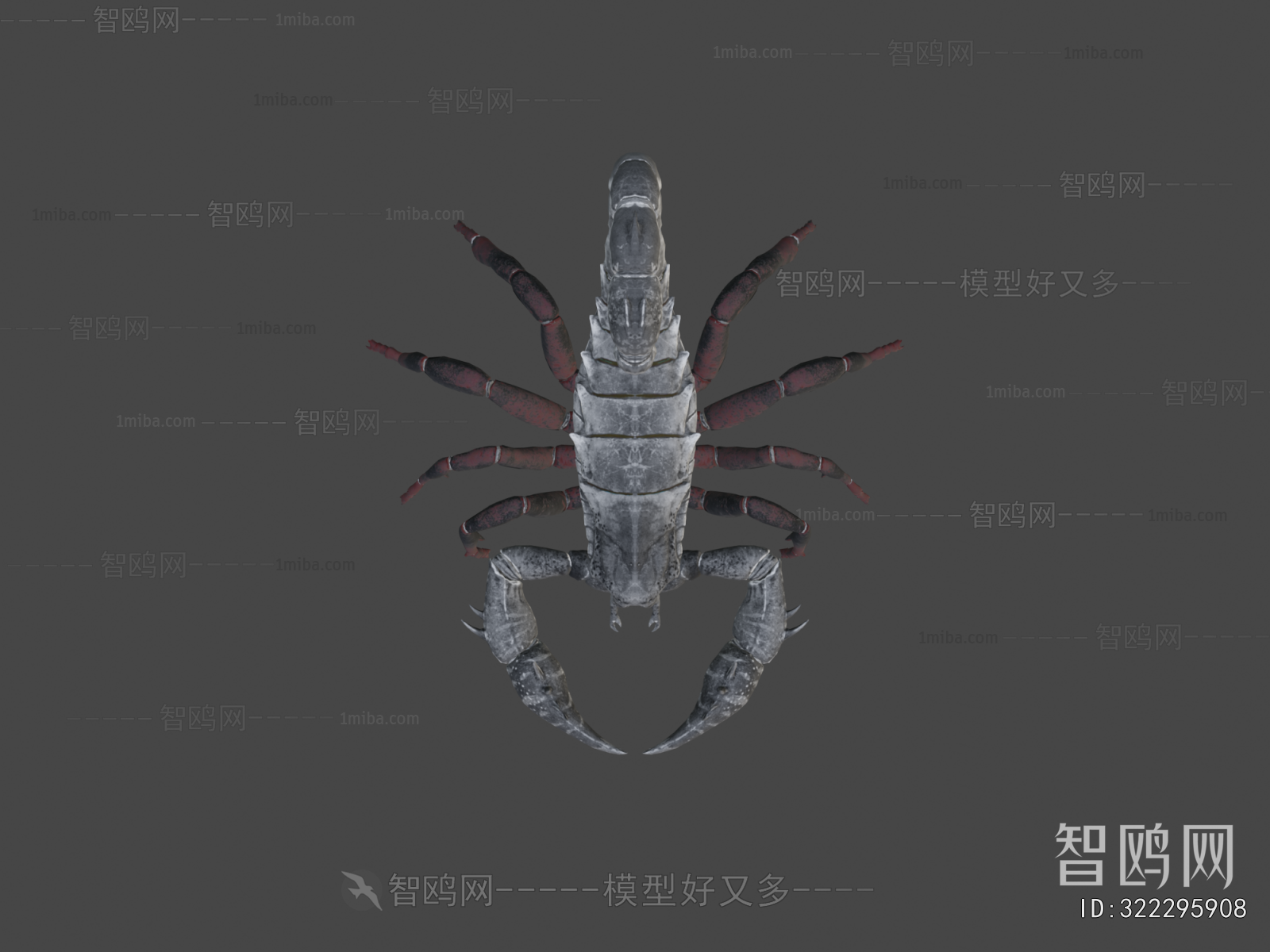 Modern Animal